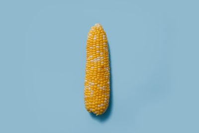 玉米在蒂尔表面
